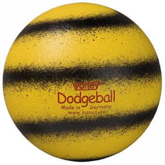 VOLLEY® Dodgeball 